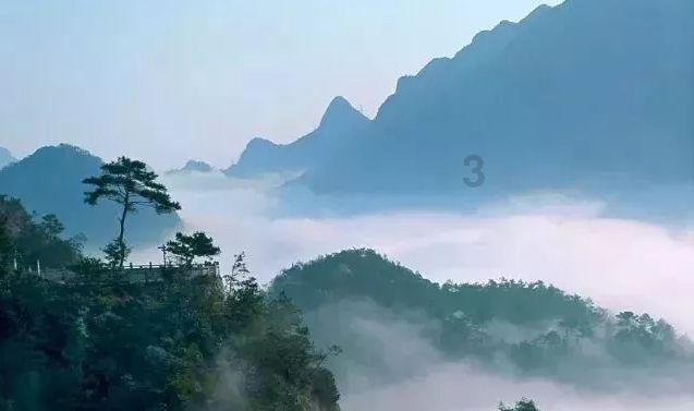 可爱猫咪救援