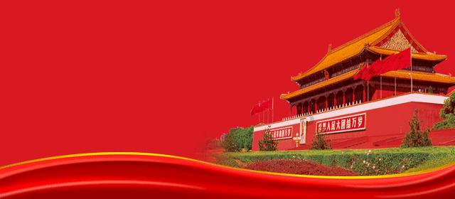 漂亮鹦鹉救援